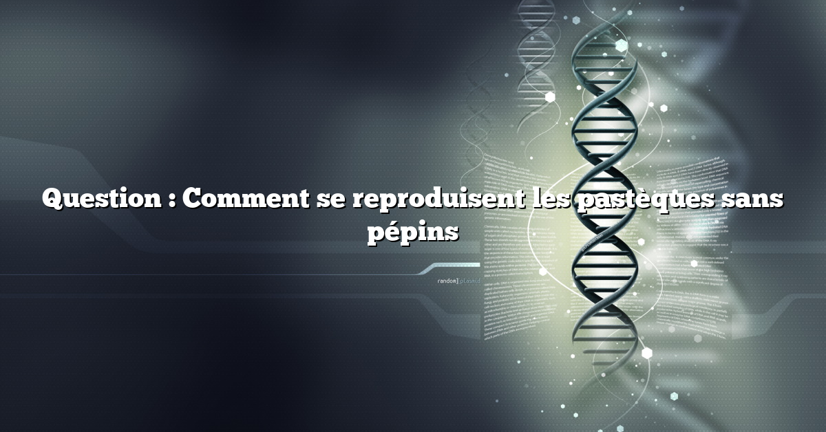 Question : Comment se reproduisent les pastèques sans pépins